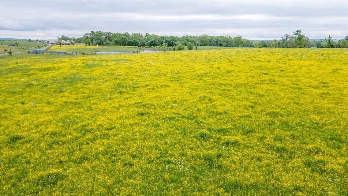 1711 Bradley Wyatt Road Property Photo 80