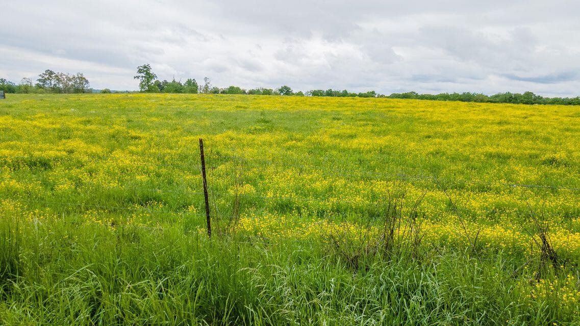 1711 Bradley Wyatt Road Property Photo 82