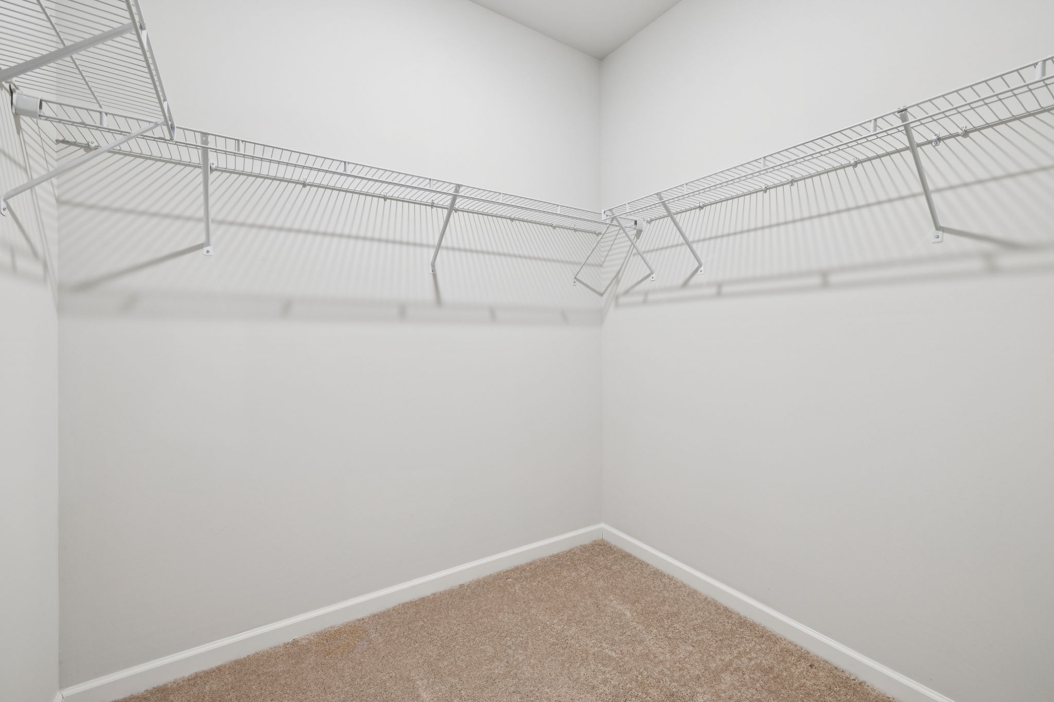8044 Typhani Way Property Photo 54