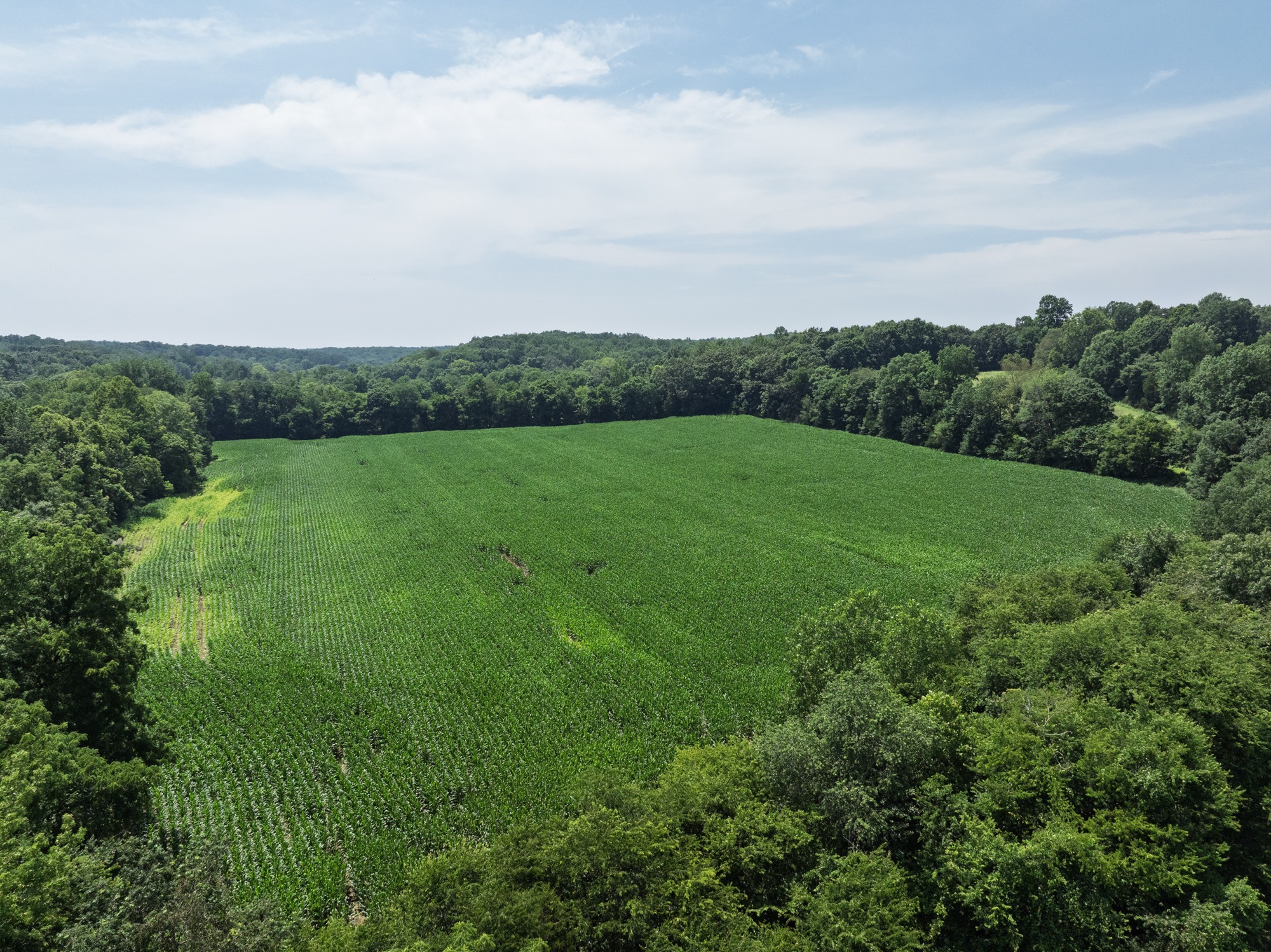 4776 Highway 48 Property Photo 2