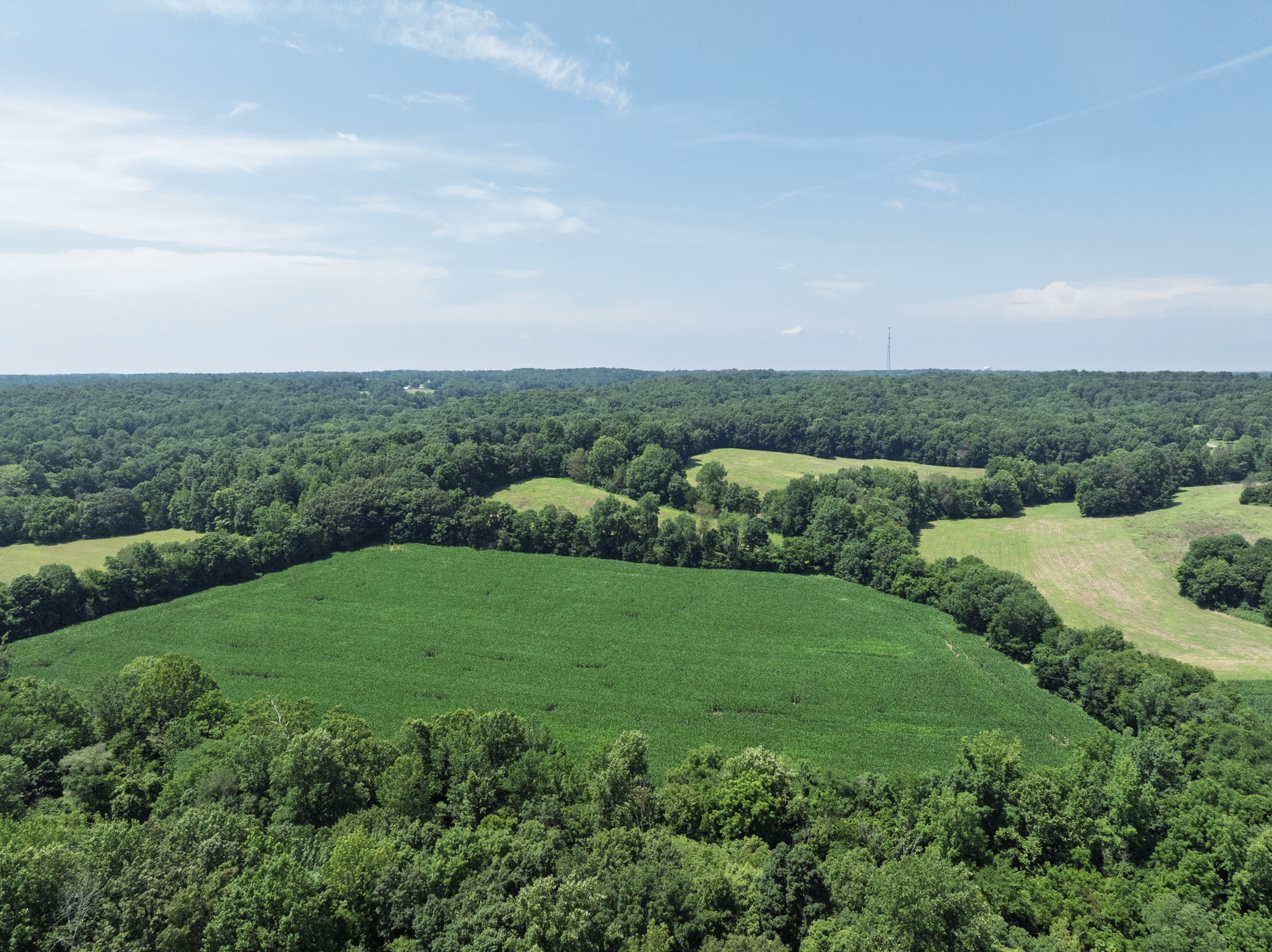 4776 Highway 48 Property Photo 4