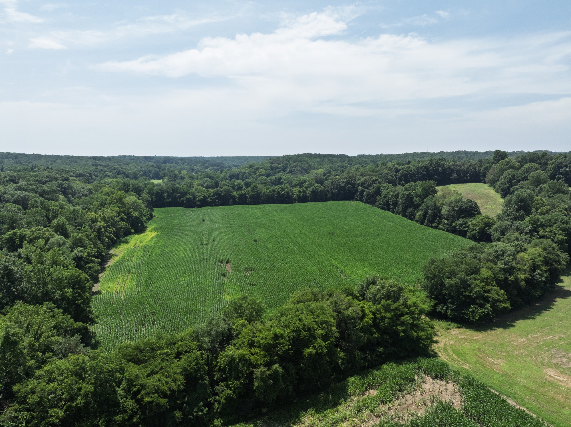 4776 Highway 48 Property Photo 5