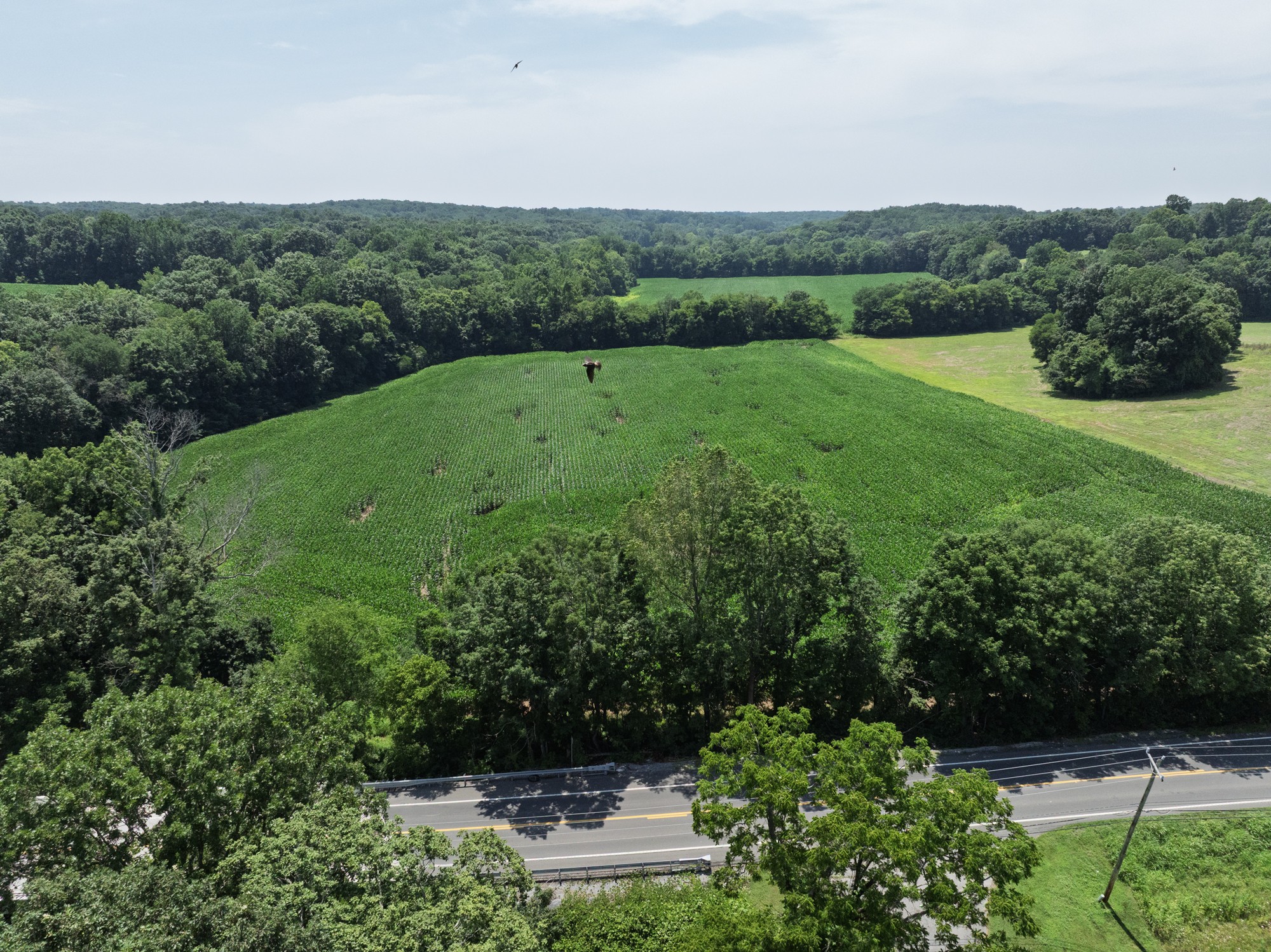 4776 Highway 48 Property Photo 10