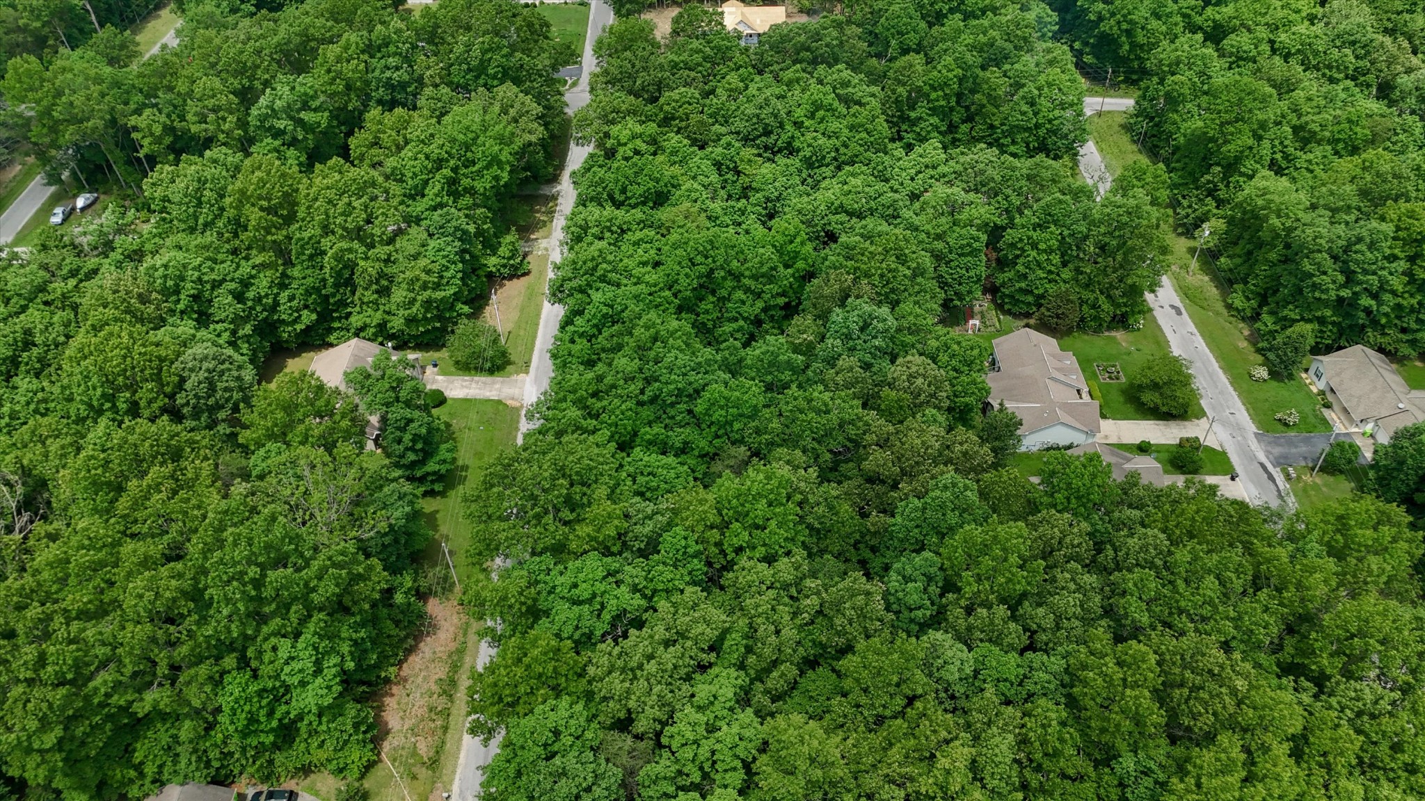 2109 Black Wolf Dr Property Photo 2