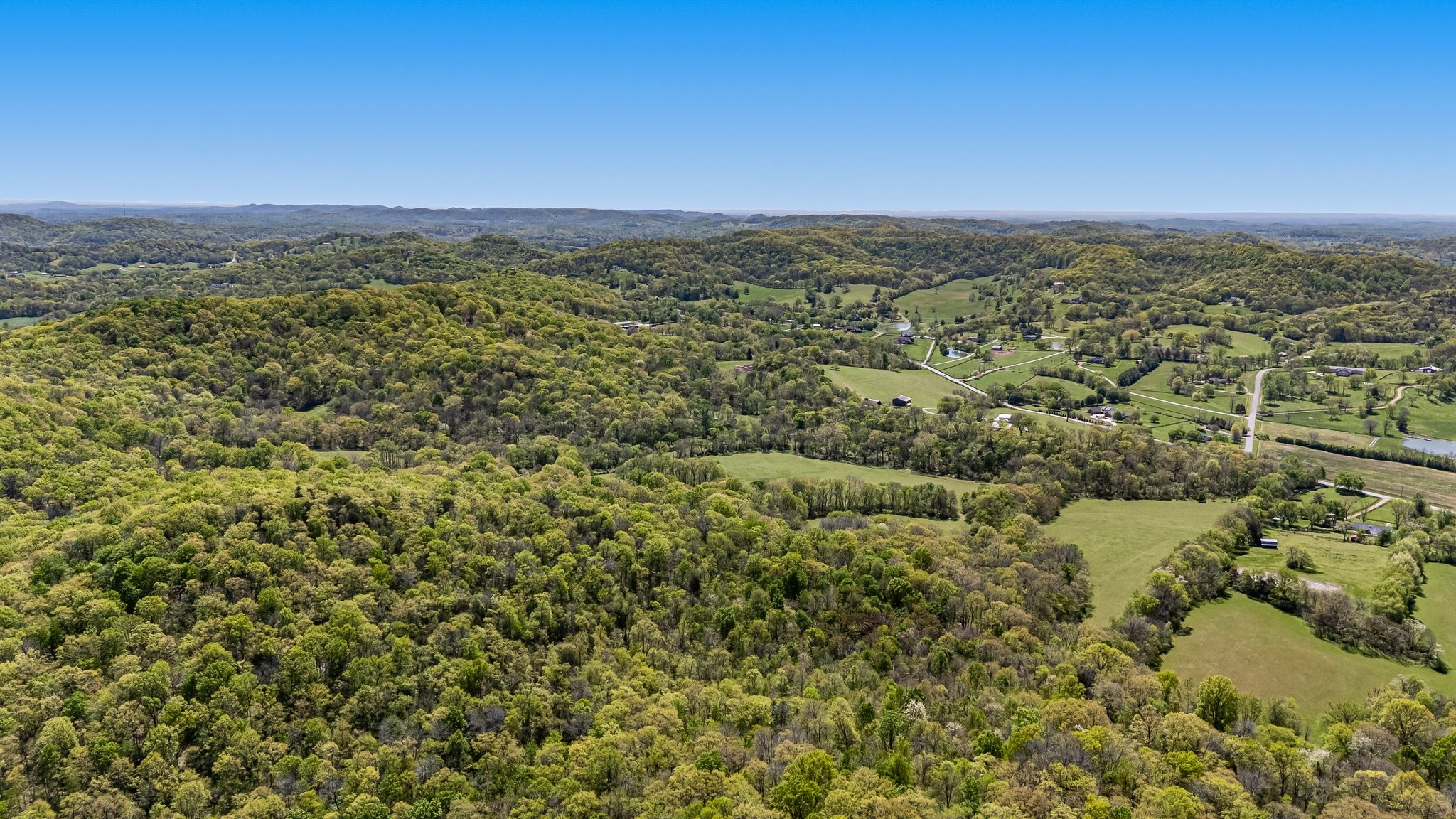 4540 Peytonsville Rd Property Photo 12
