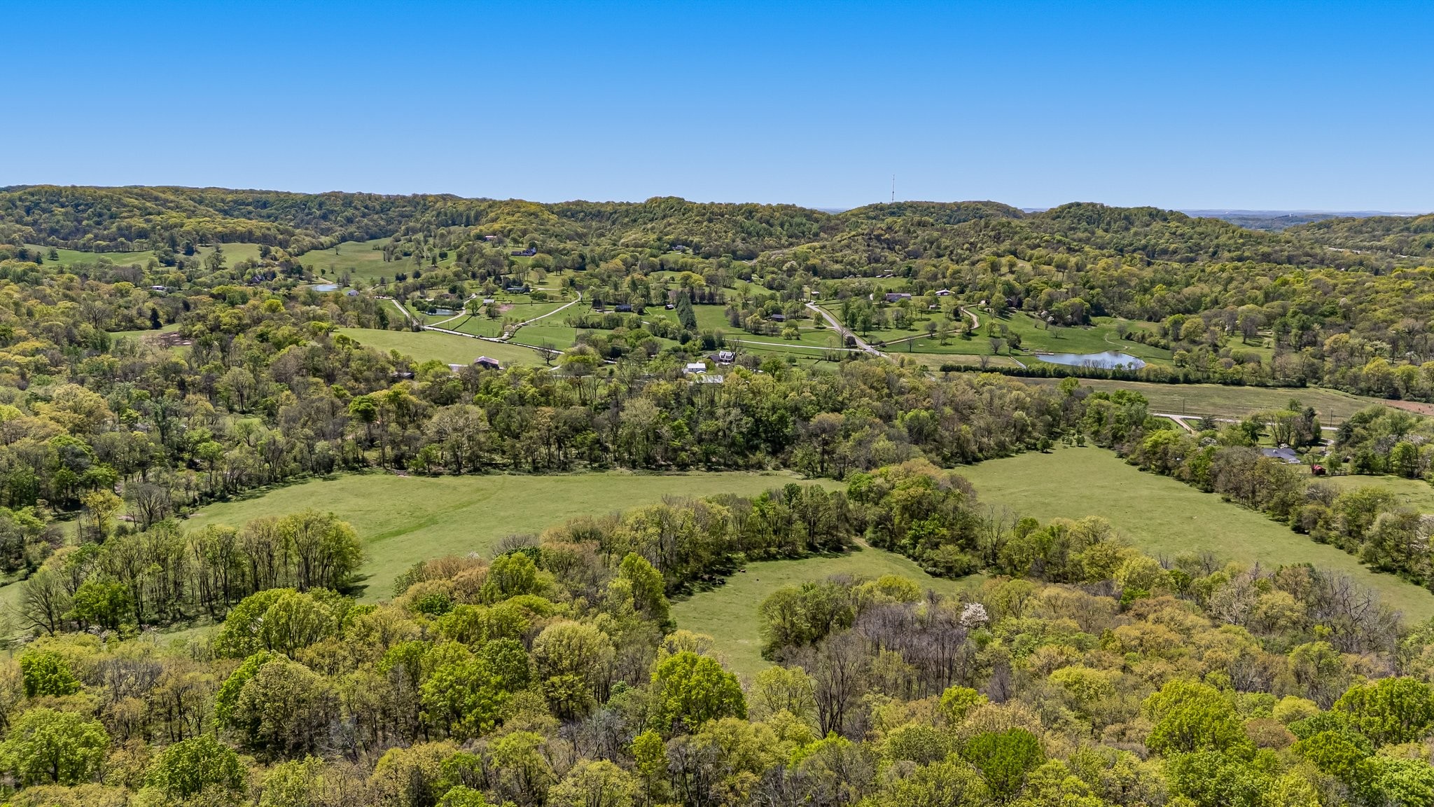 4540 Peytonsville Rd Property Photo 13