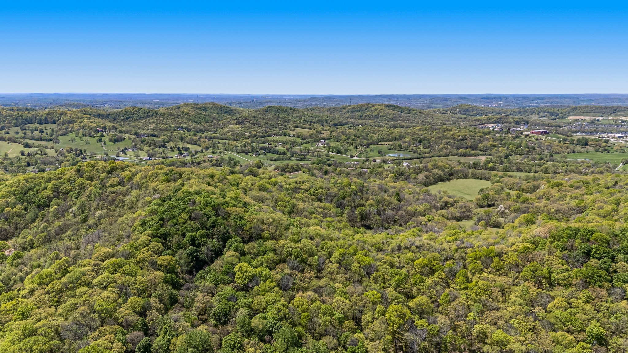 4540 Peytonsville Rd Property Photo 17