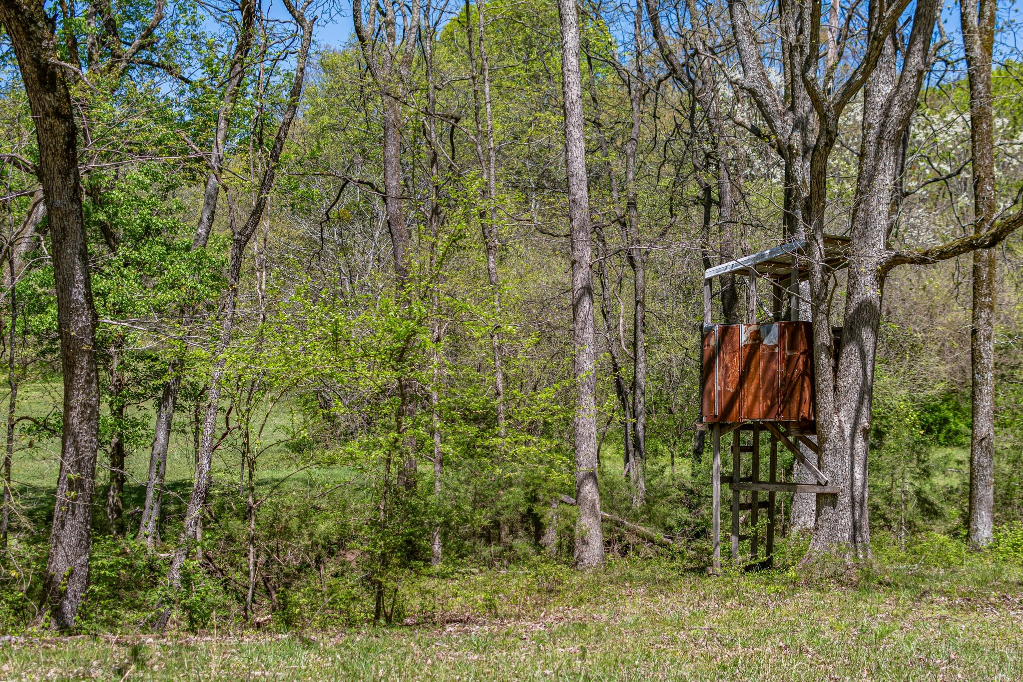 4540 Peytonsville Rd Property Photo 34