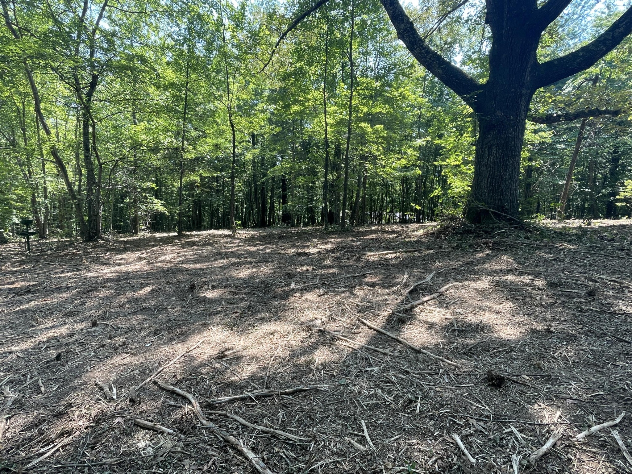 0 Euchee Road Property Photo 6