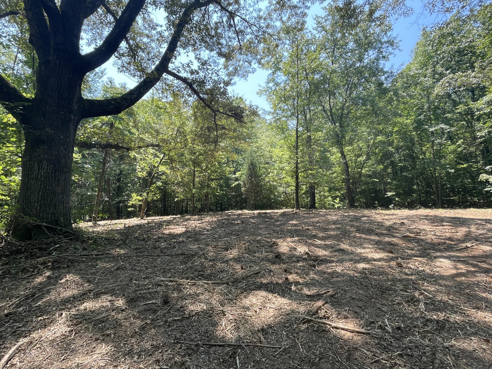 0 Euchee Road Property Photo 7