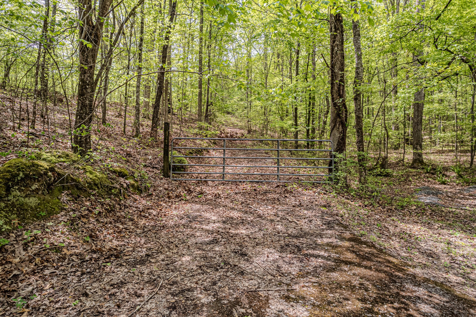 0 Euchee Road Property Photo 12