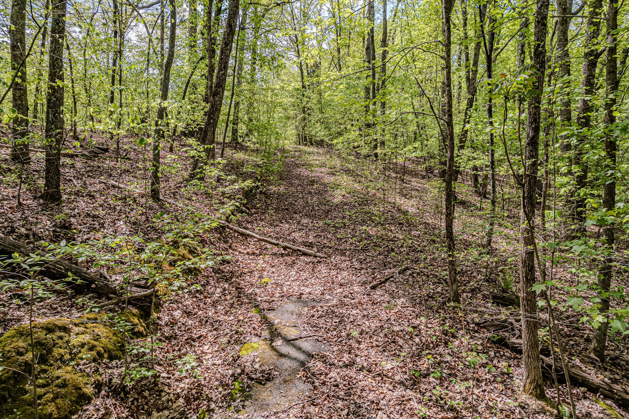 0 Euchee Road Property Photo 15
