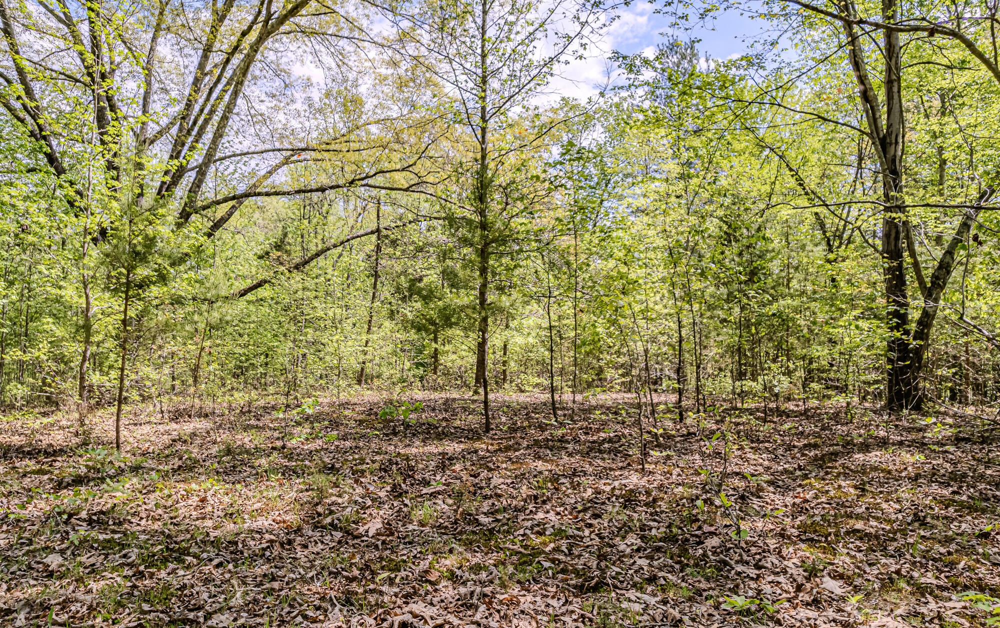 0 Euchee Road Property Photo 17