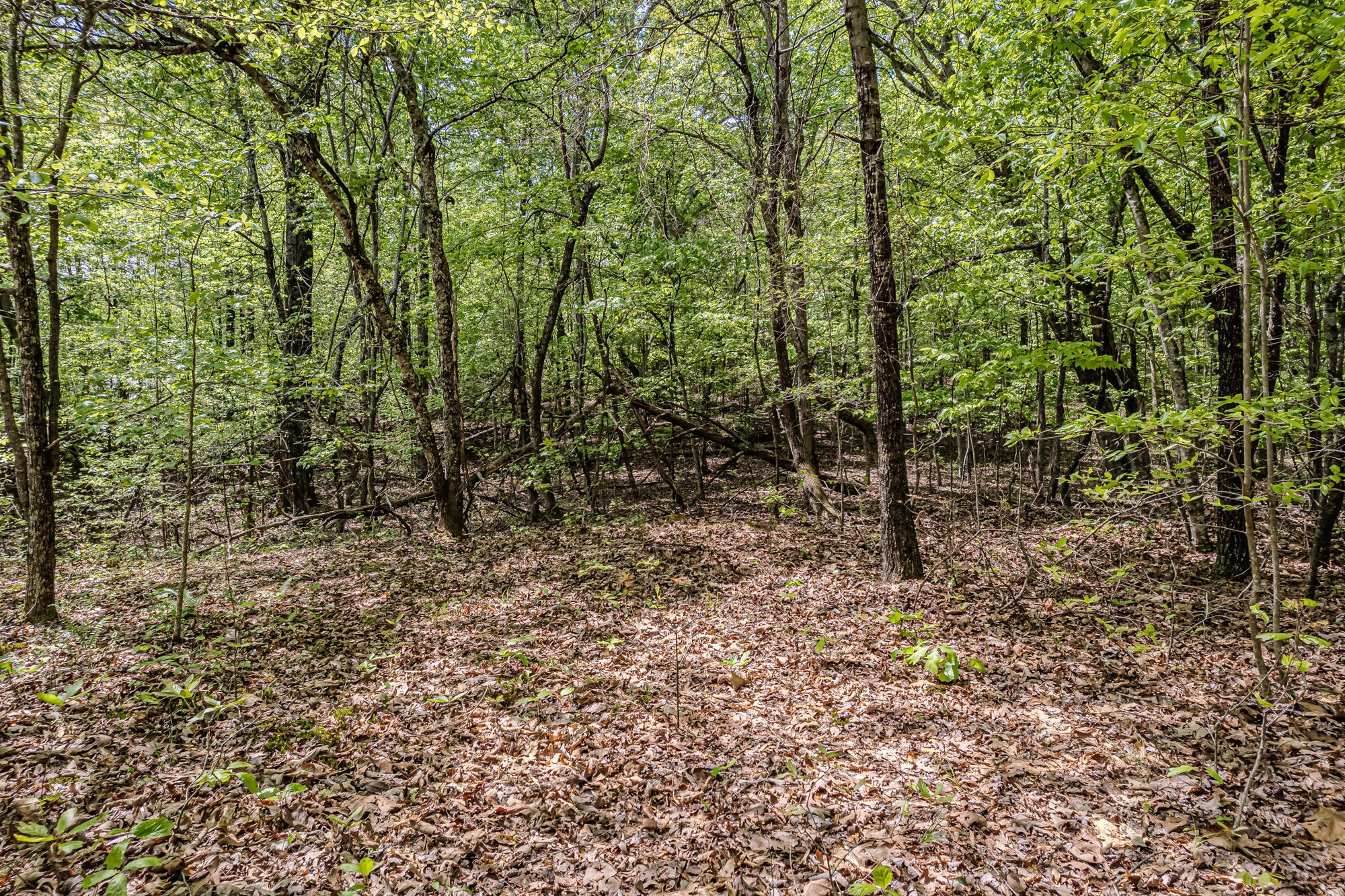 0 Euchee Road Property Photo 18