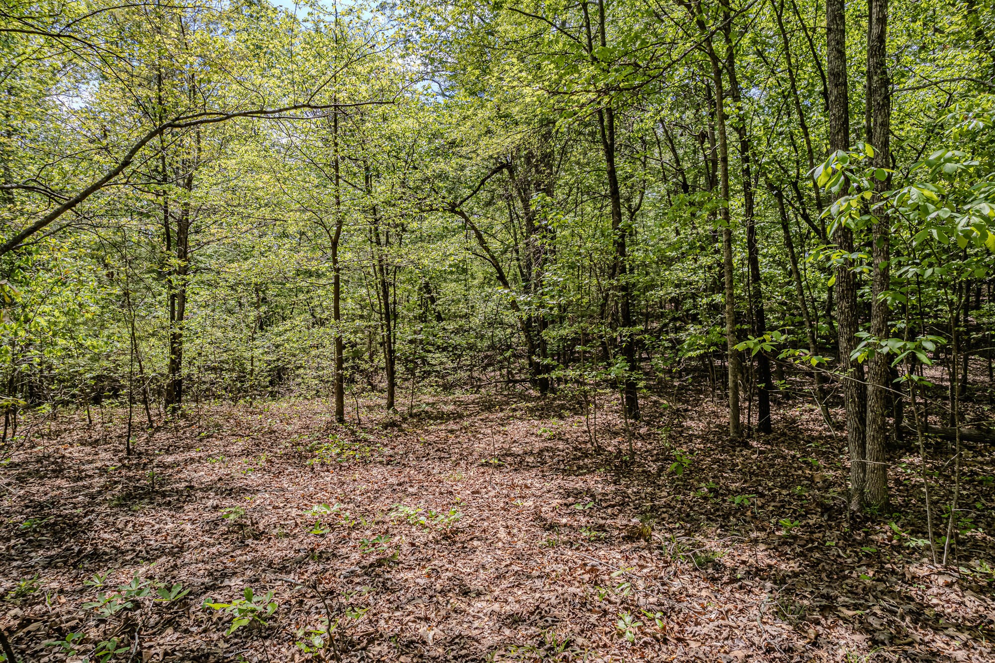 0 Euchee Road Property Photo 21
