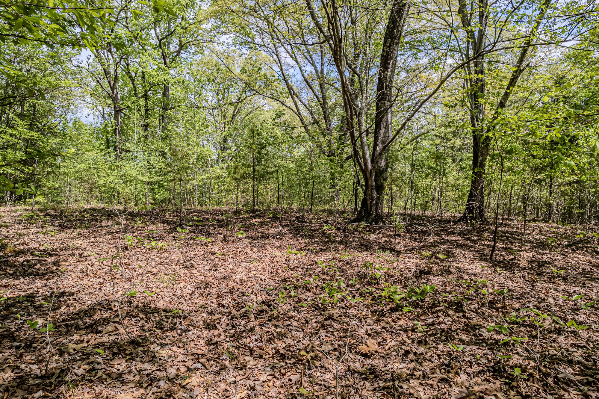 0 Euchee Road Property Photo 22
