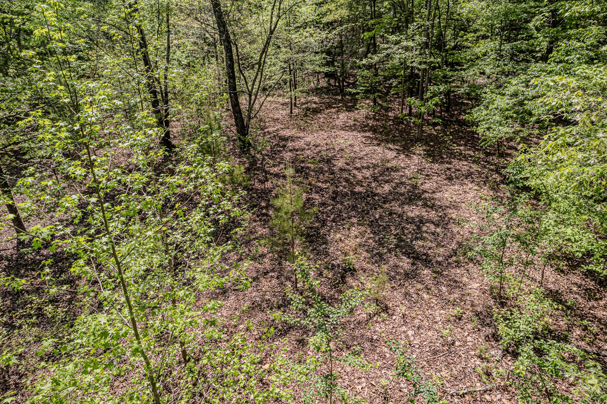0 Euchee Road Property Photo 23