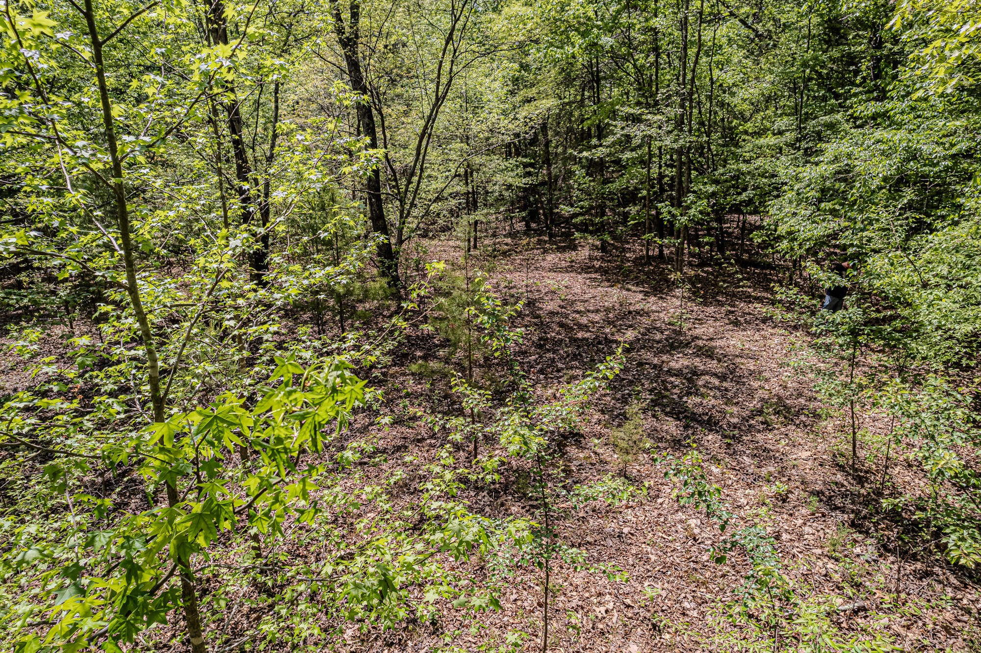 0 Euchee Road Property Photo 24