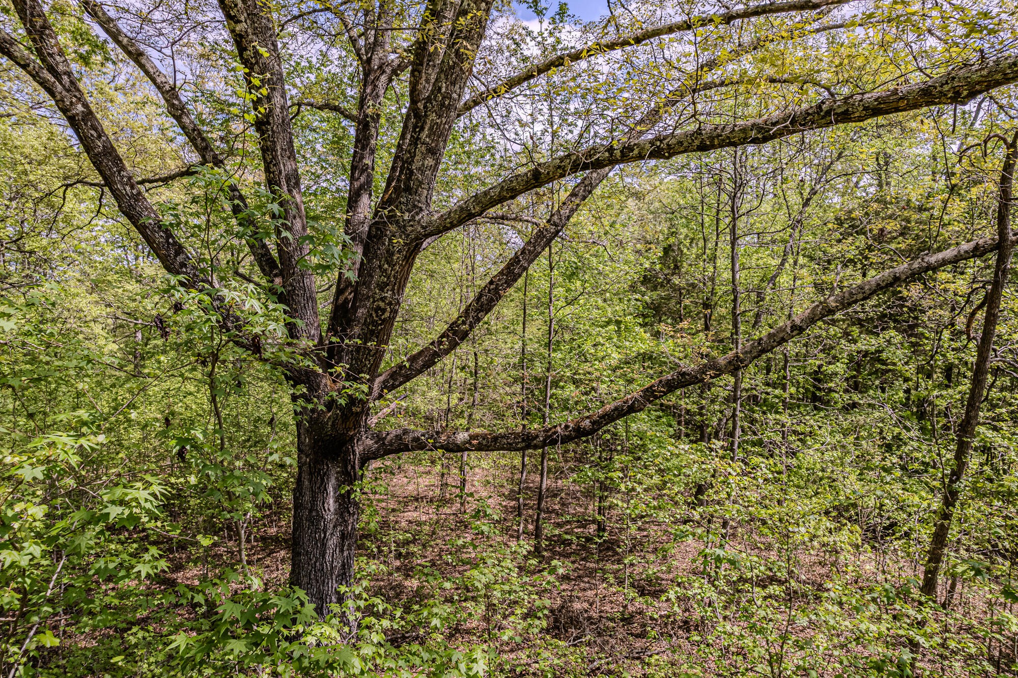 0 Euchee Road Property Photo 25