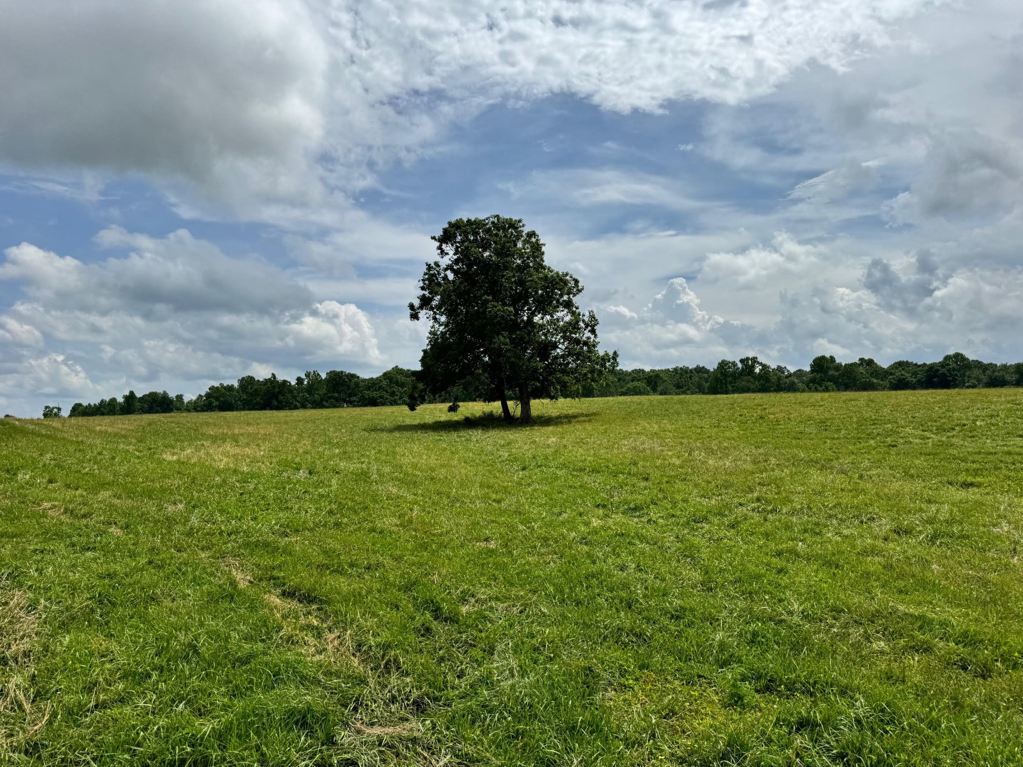 0 Old Bean Shed Rd 34 Acres Property Photo 1