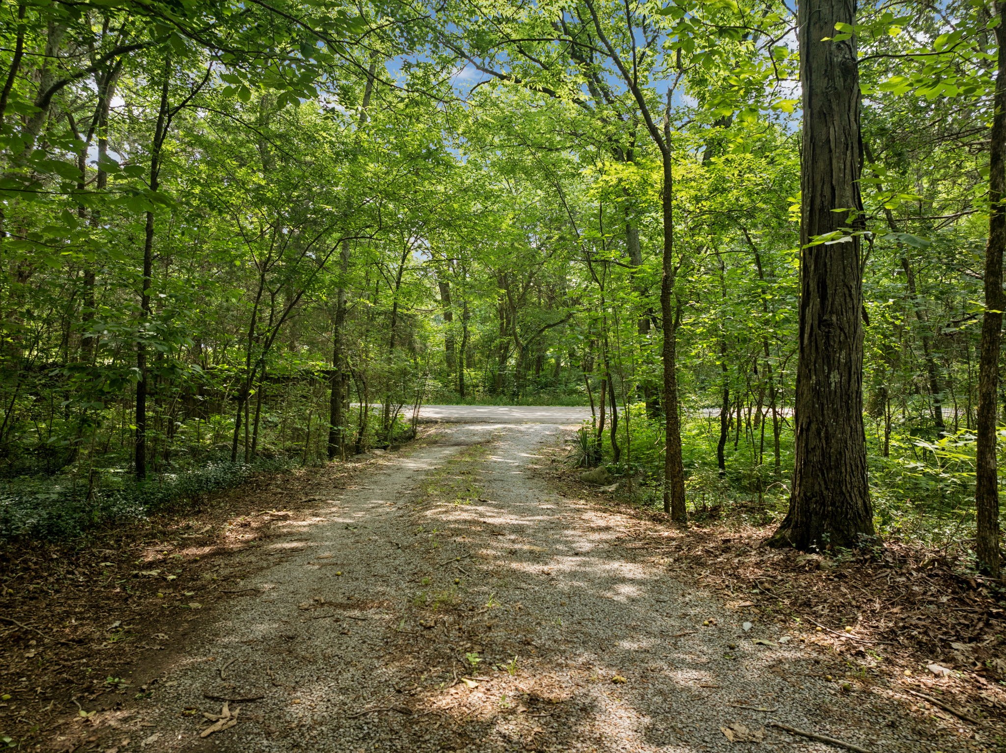 6031 Buckeye Valley Rd Property Photo 16