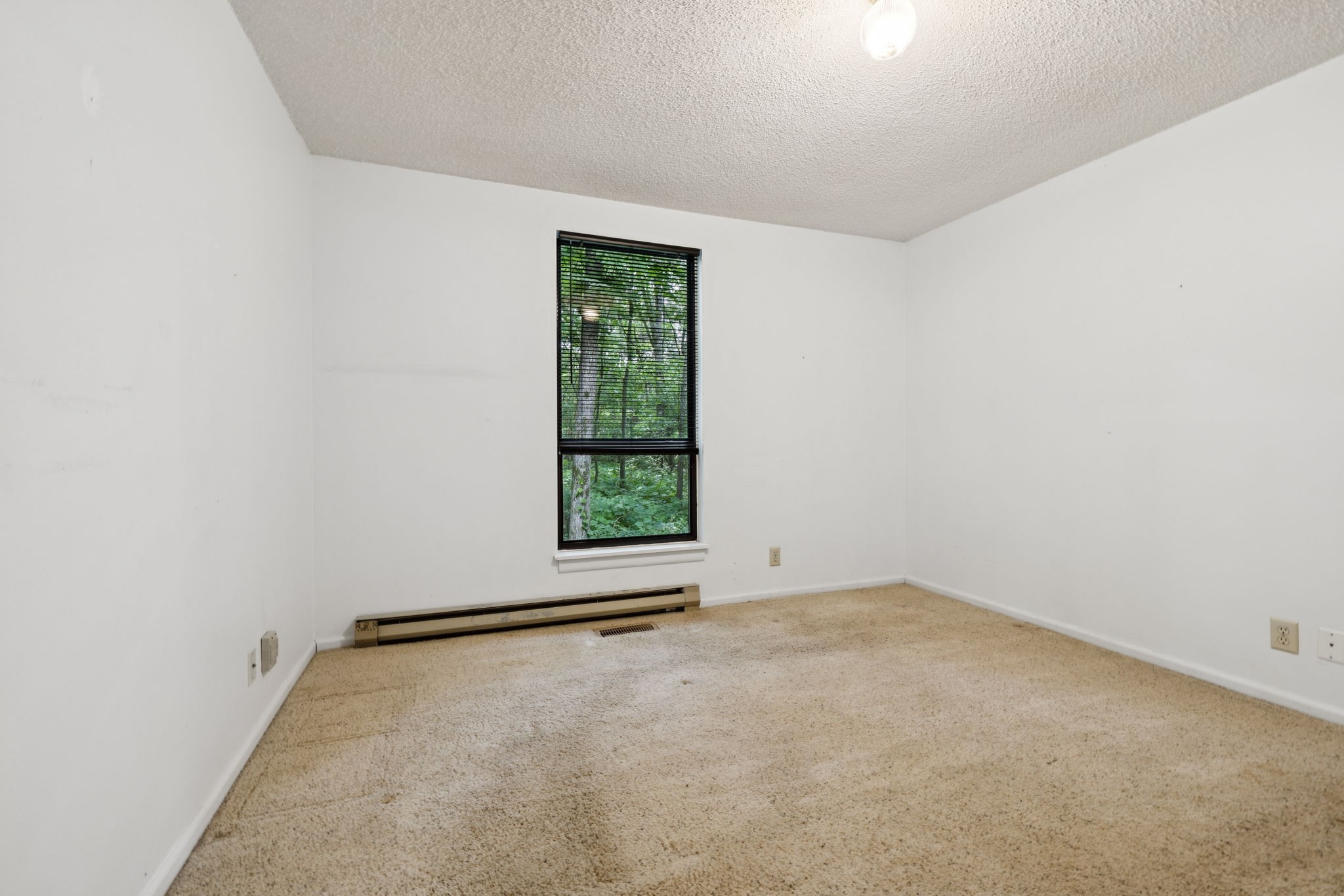 6031 Buckeye Valley Rd Property Photo 25