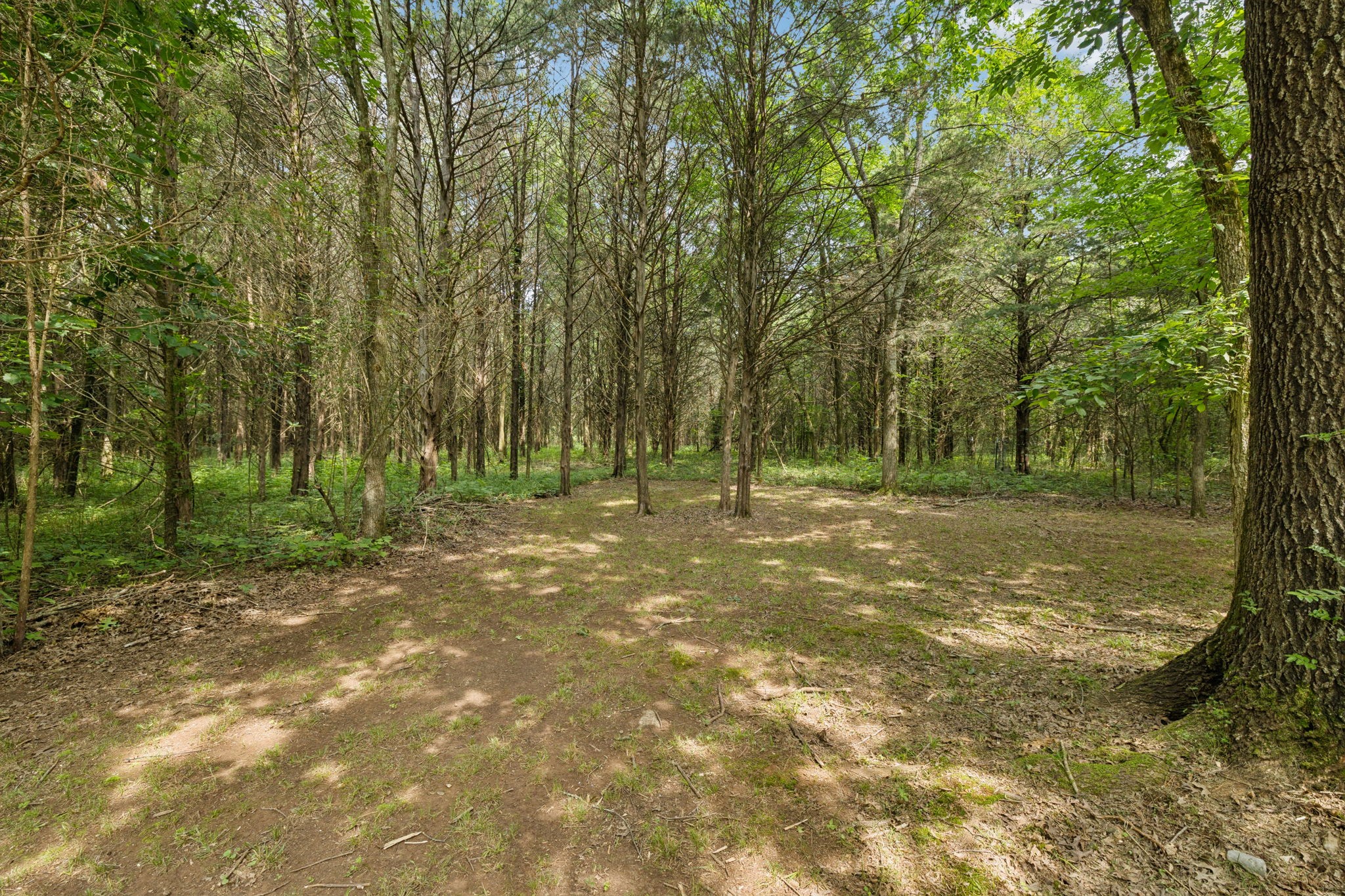 6031 Buckeye Valley Rd Property Photo 29