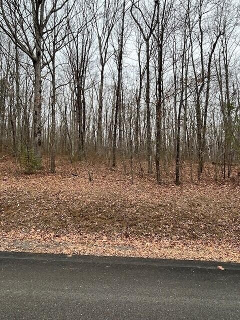 0 Clear Brooks Drive Property Photo 1