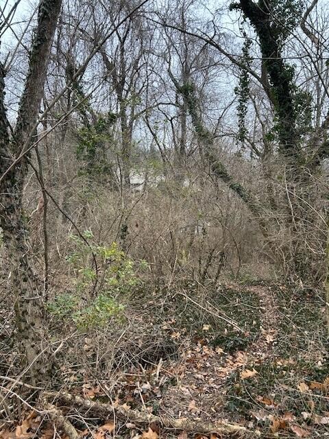 1007 Evanwood Drive, E Property Photo 2
