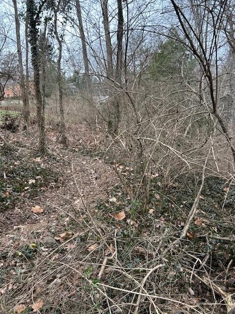 1007 Evanwood Drive, E Property Photo 3