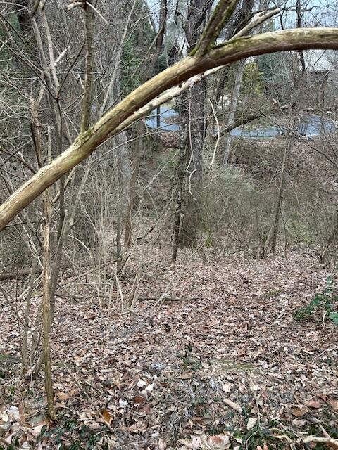 1007 Evanwood Drive, E Property Photo 7