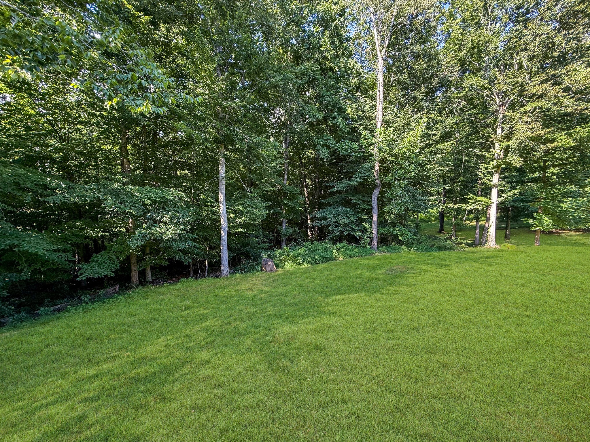 731 Hogan Rd Property Photo 13