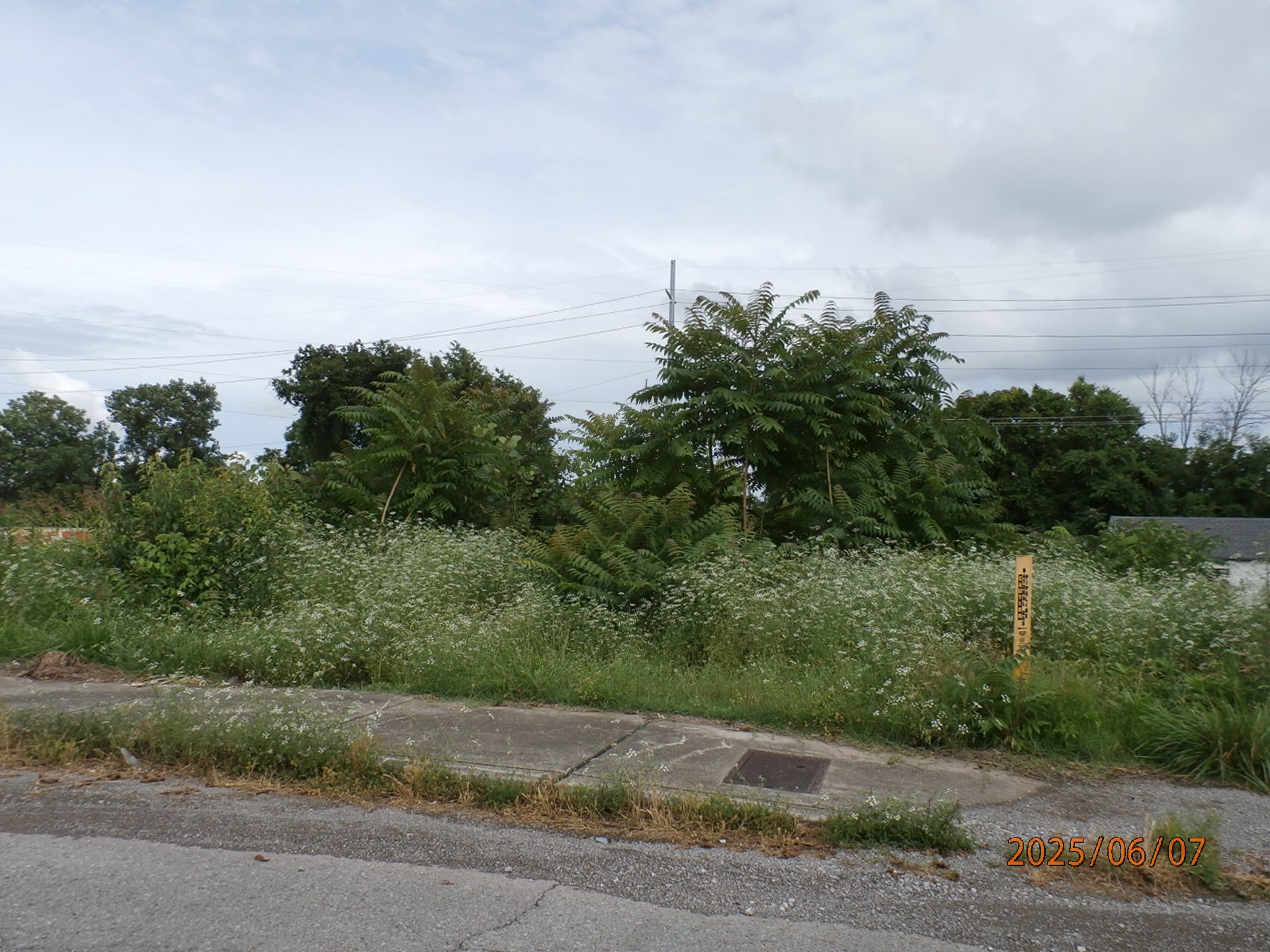 199C Little Green St Property Photo 1