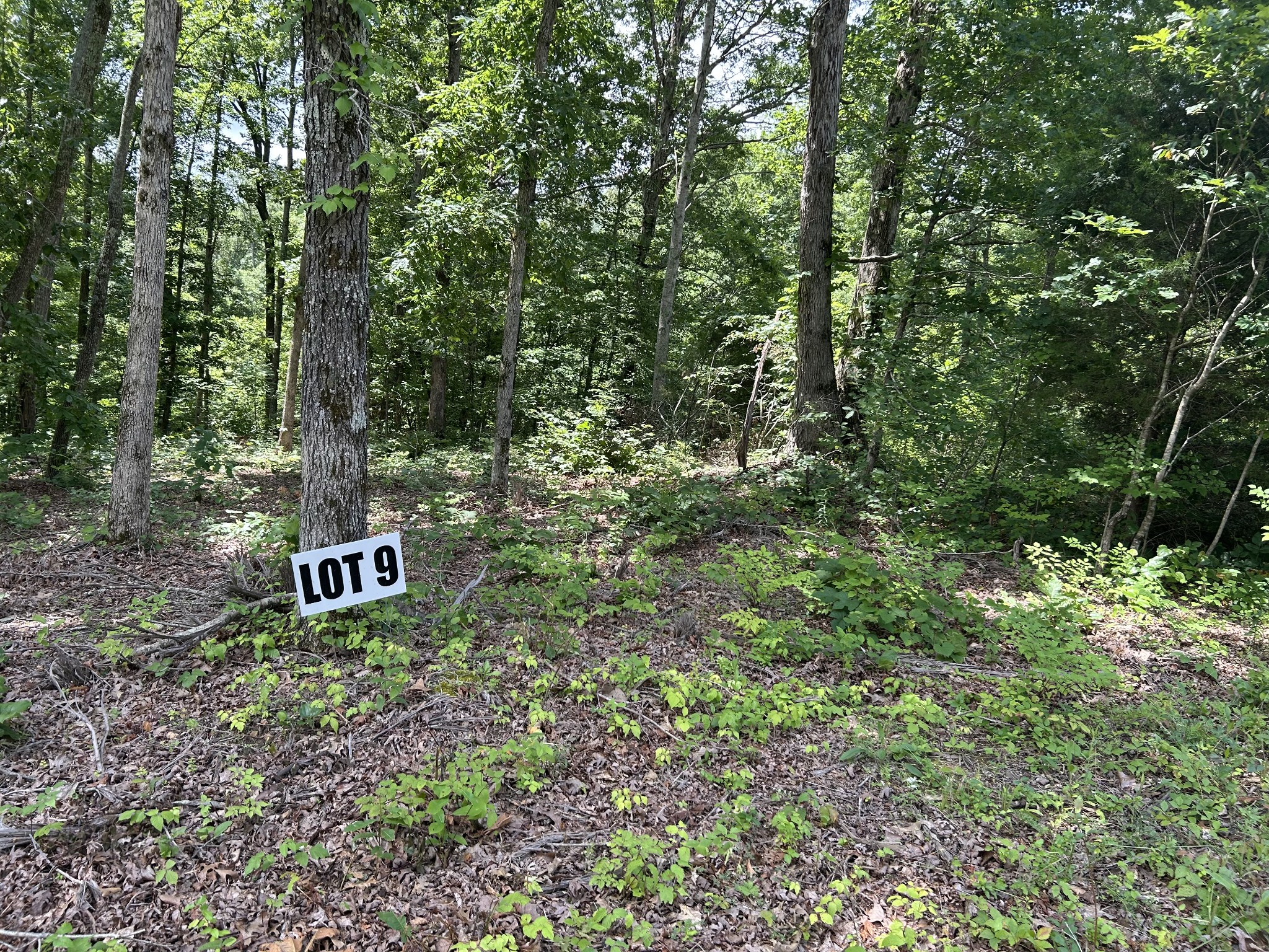 0 Slaughter Rd Property Photo 1