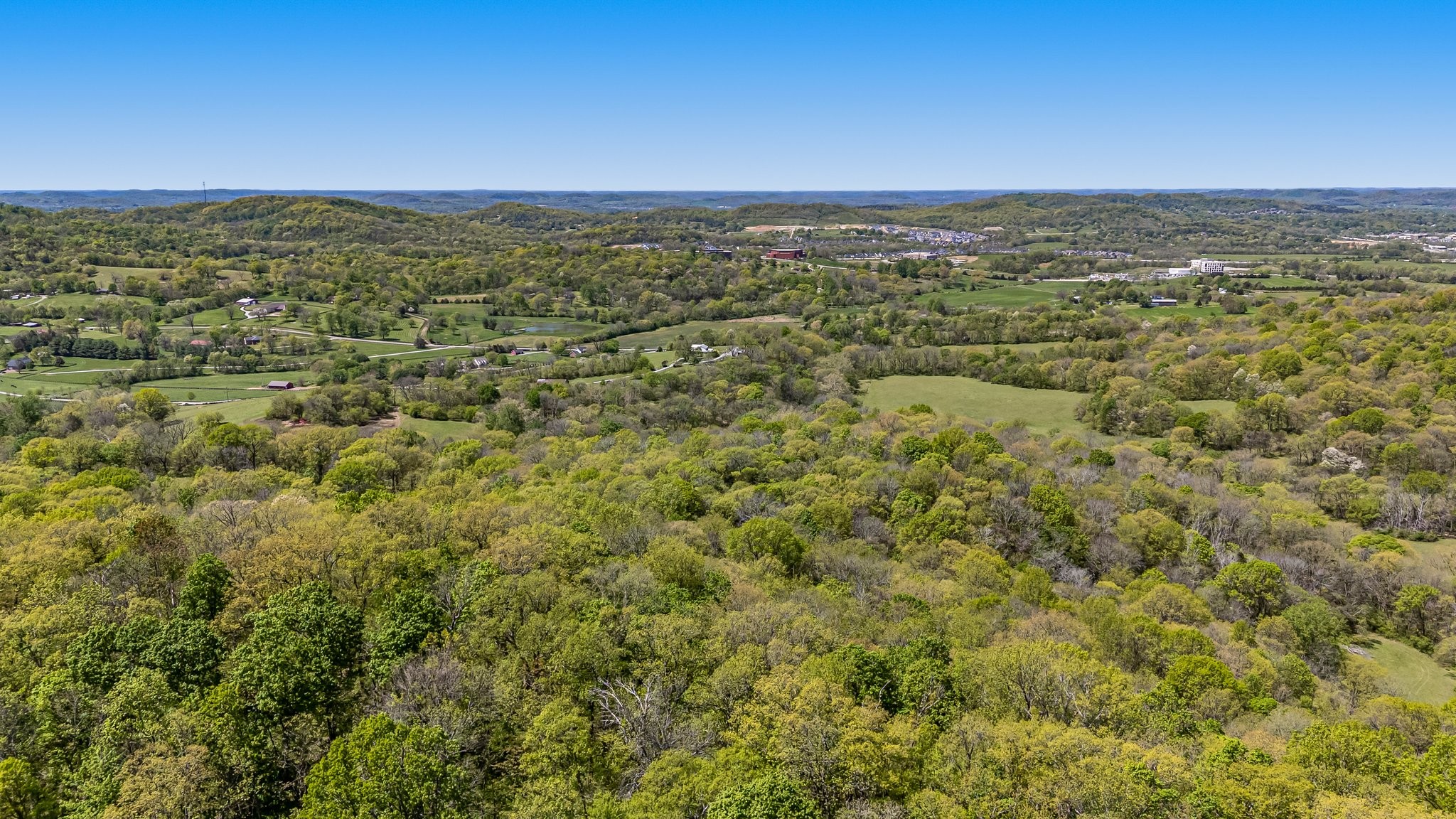 4540 Peytonsville Rd Property Photo 18