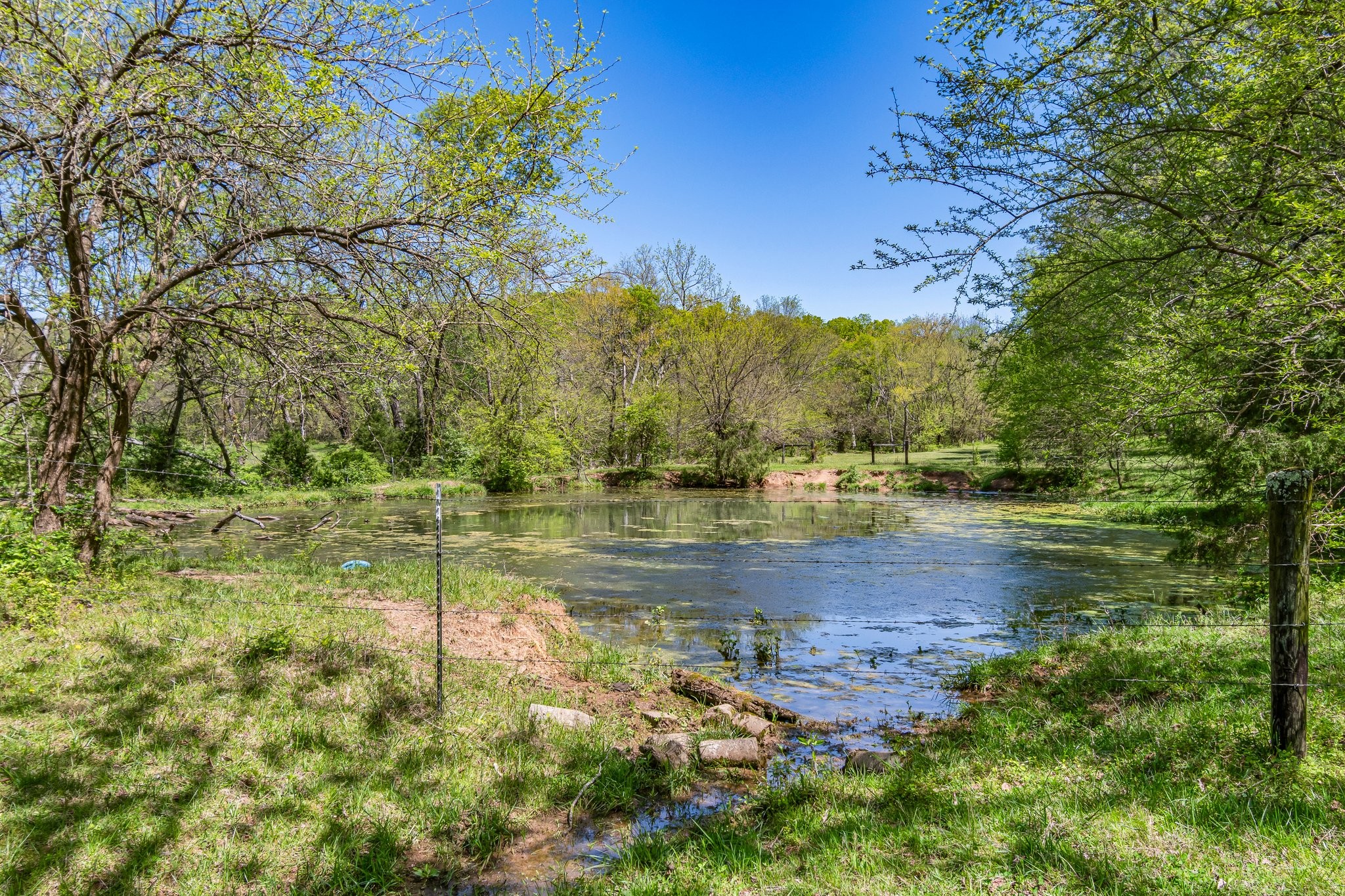 4540 Peytonsville Rd Property Photo 30