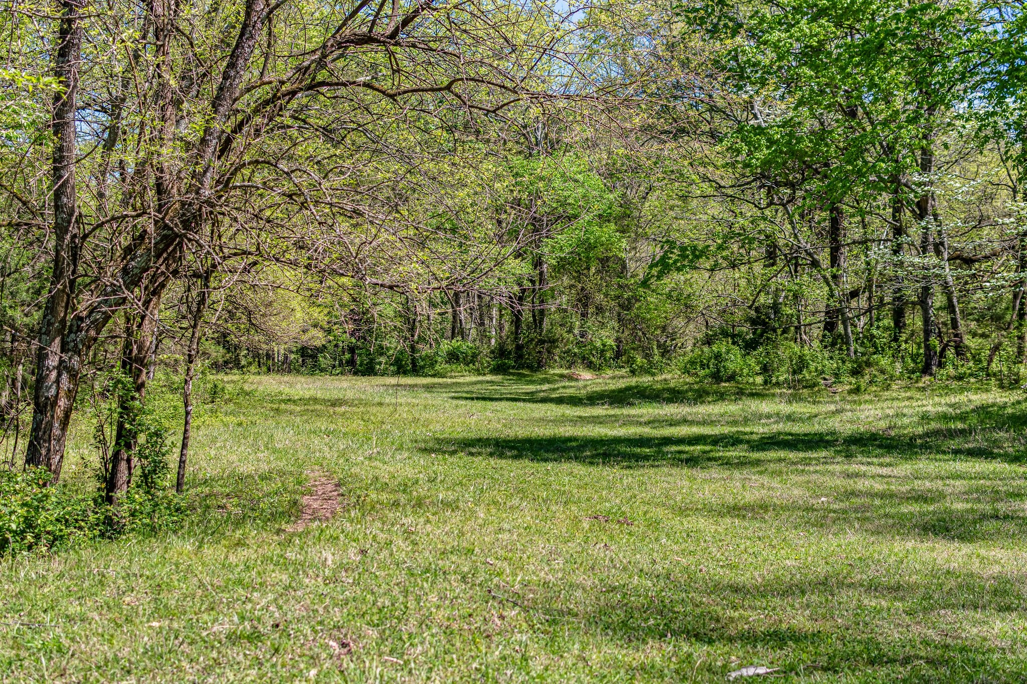 4540 Peytonsville Rd Property Photo 31