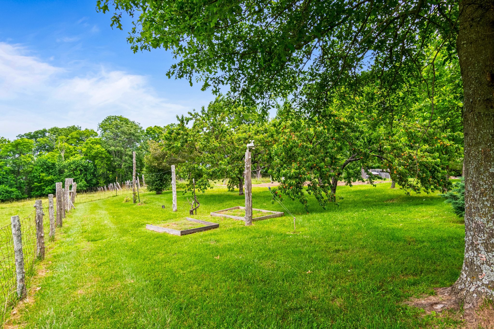 4540 Peytonsville Rd Property Photo 63
