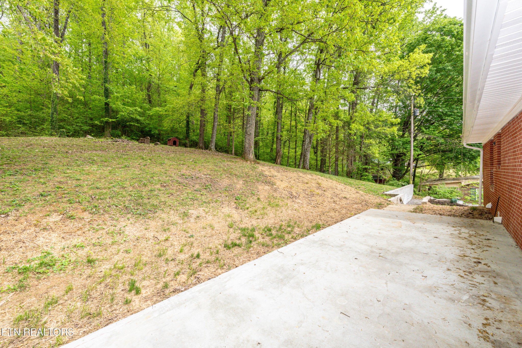4412 Brown Gap Rd Property Photo 43