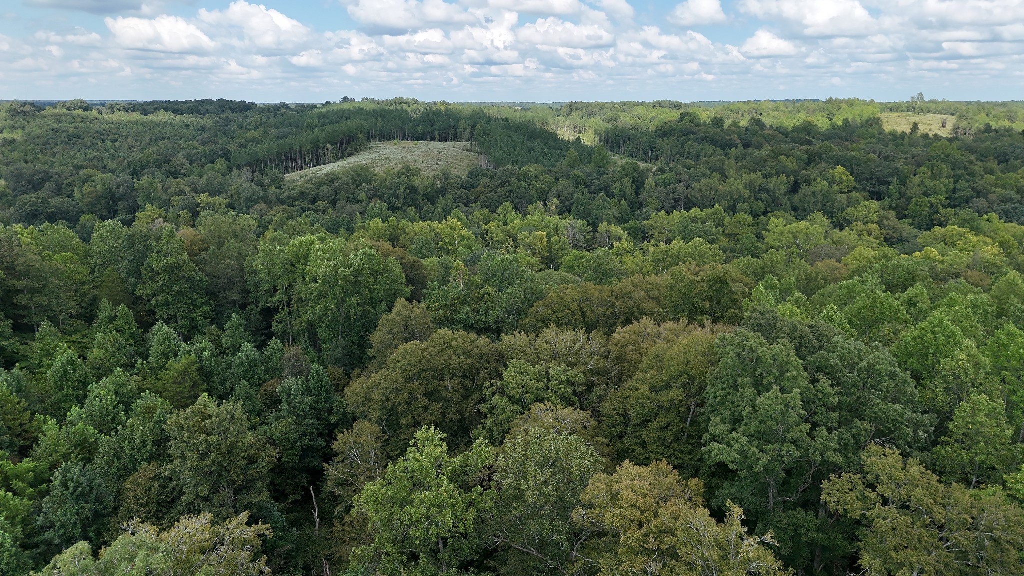 0 Freedom Ridge Property Photo 1