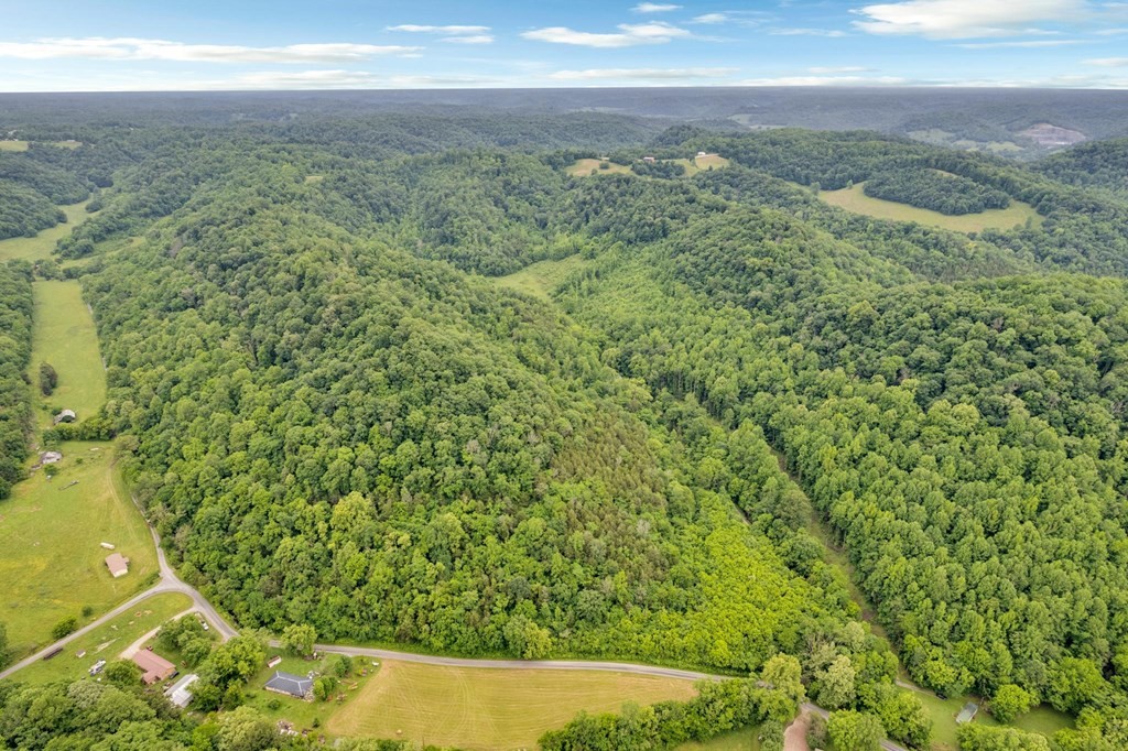 0 Hurrican Branch Road Property Photo 9