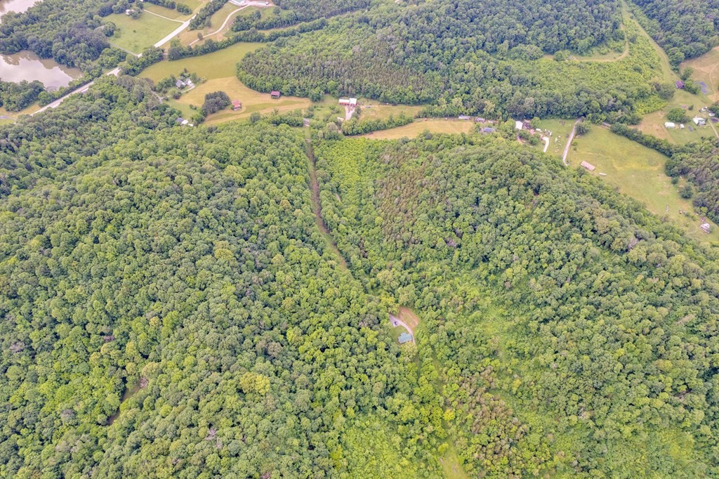 0 Hurrican Branch Road Property Photo 11