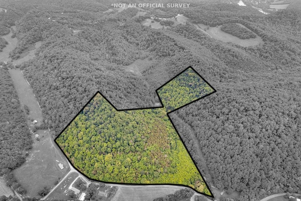 0 Hurrican Branch Road Property Photo 12
