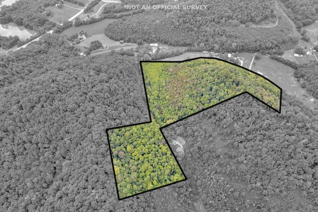 0 Hurrican Branch Road Property Photo 13