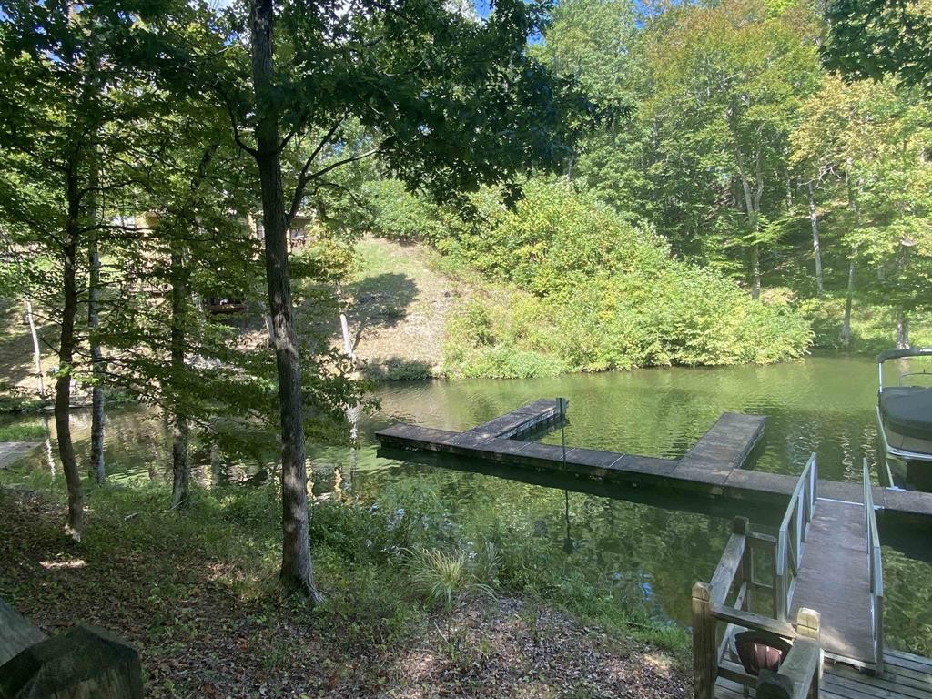 0 Blazing Trail Property Photo 1