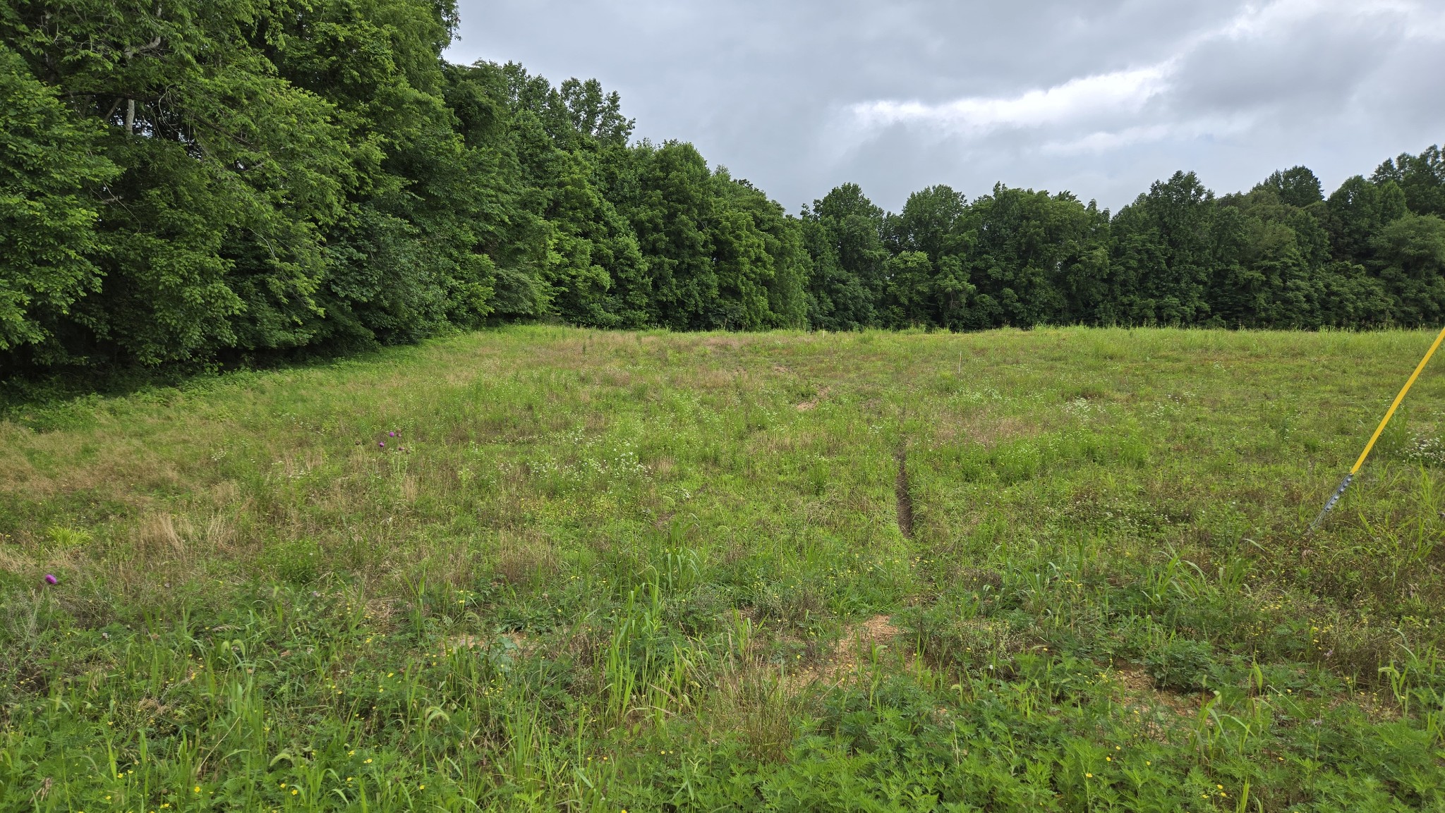 0 White Springs Ln Property Photo 1