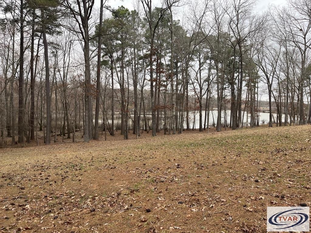 0 Catfish Drive Property Photo 1