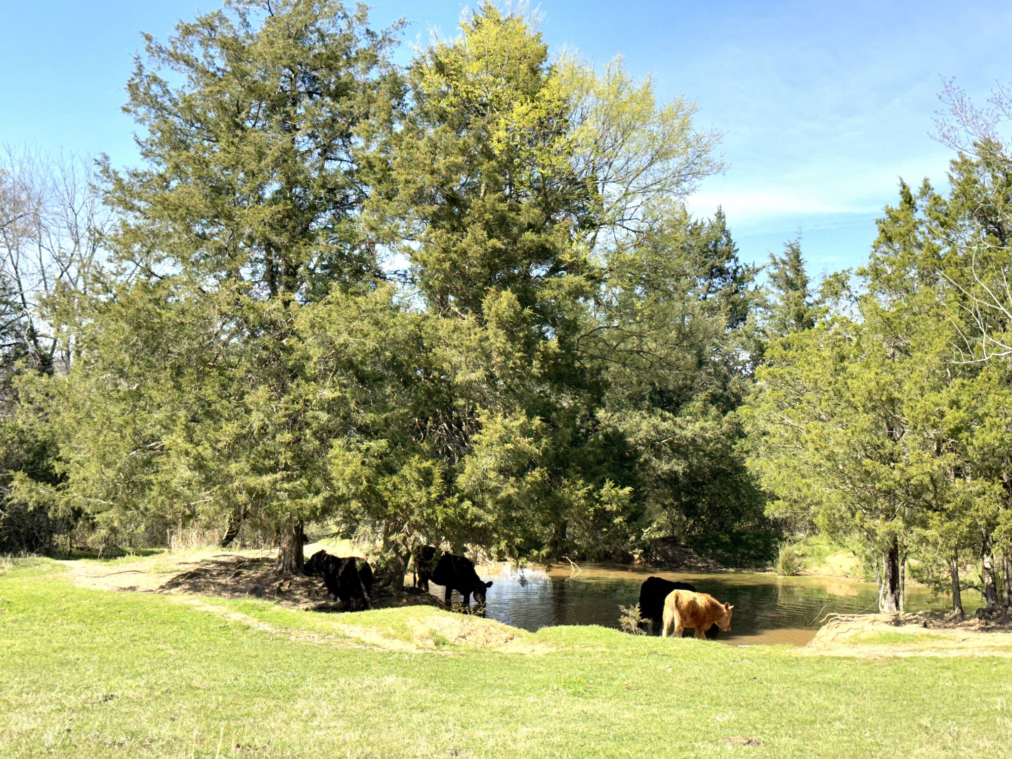 0 Ardmore Hwy Property Photo 3