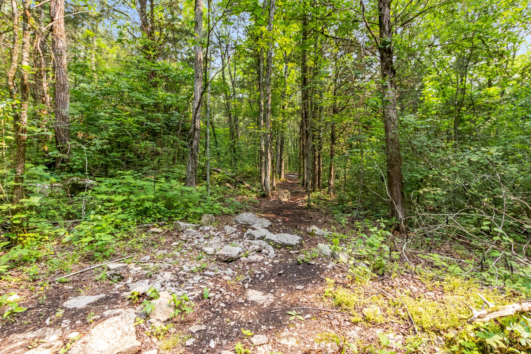 1049 Oregon Rd Property Photo 16