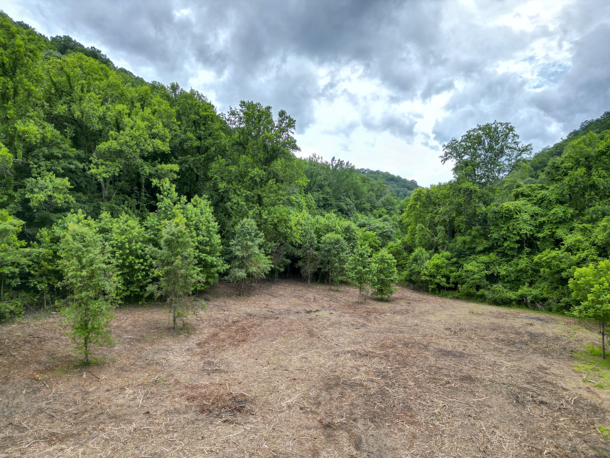 5092 Seymour Hollow Rd Property Photo 11